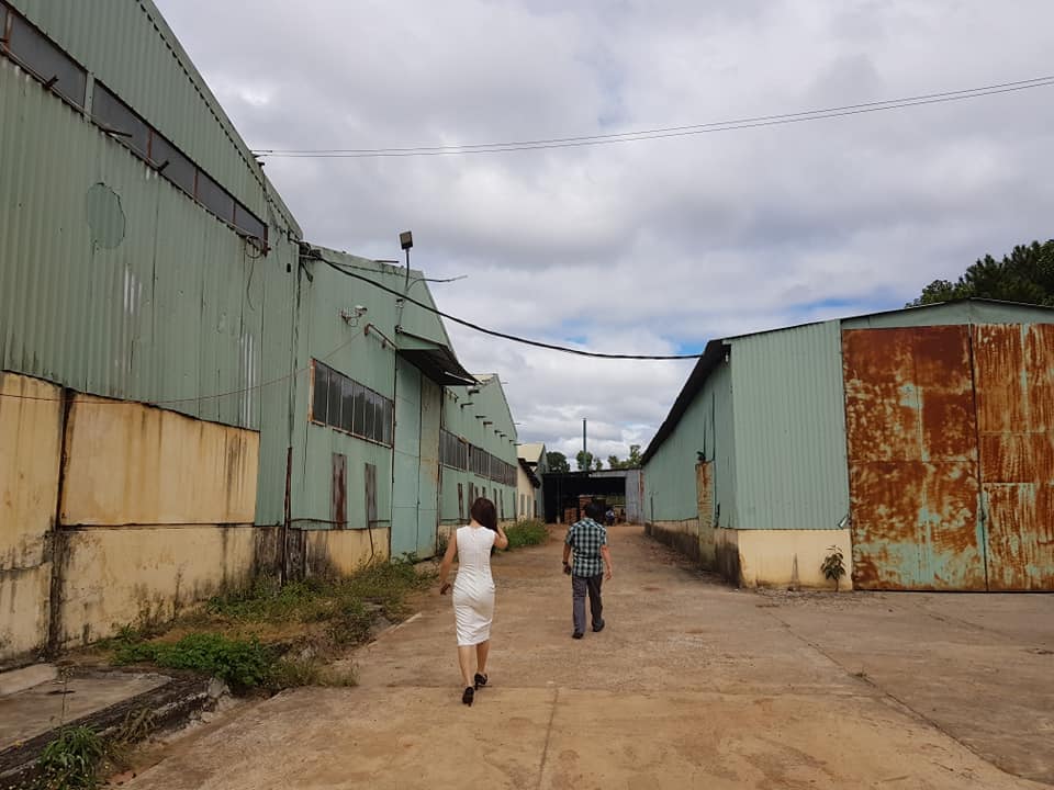 dien mat troi Pleiku